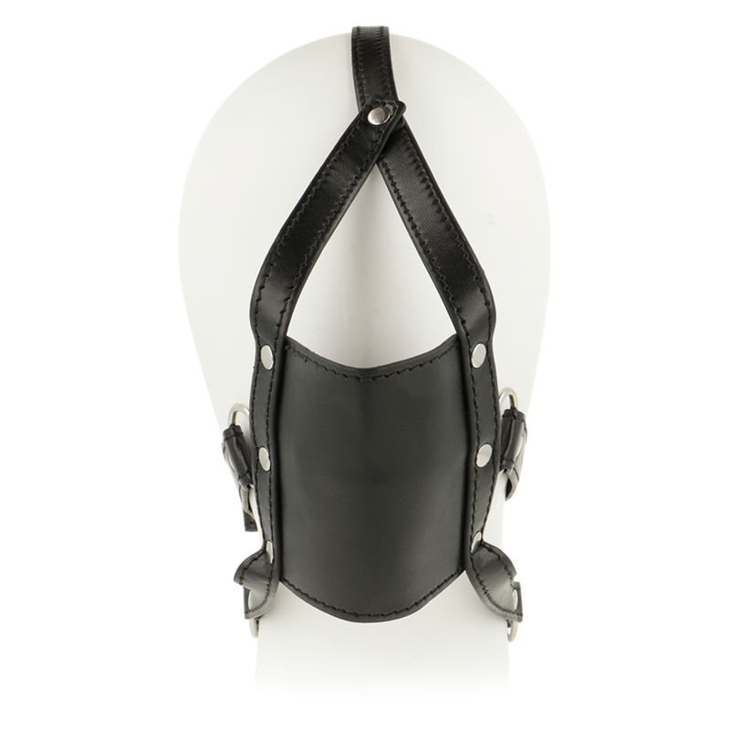 ARNÉS HARNESS RESTRAINT 2