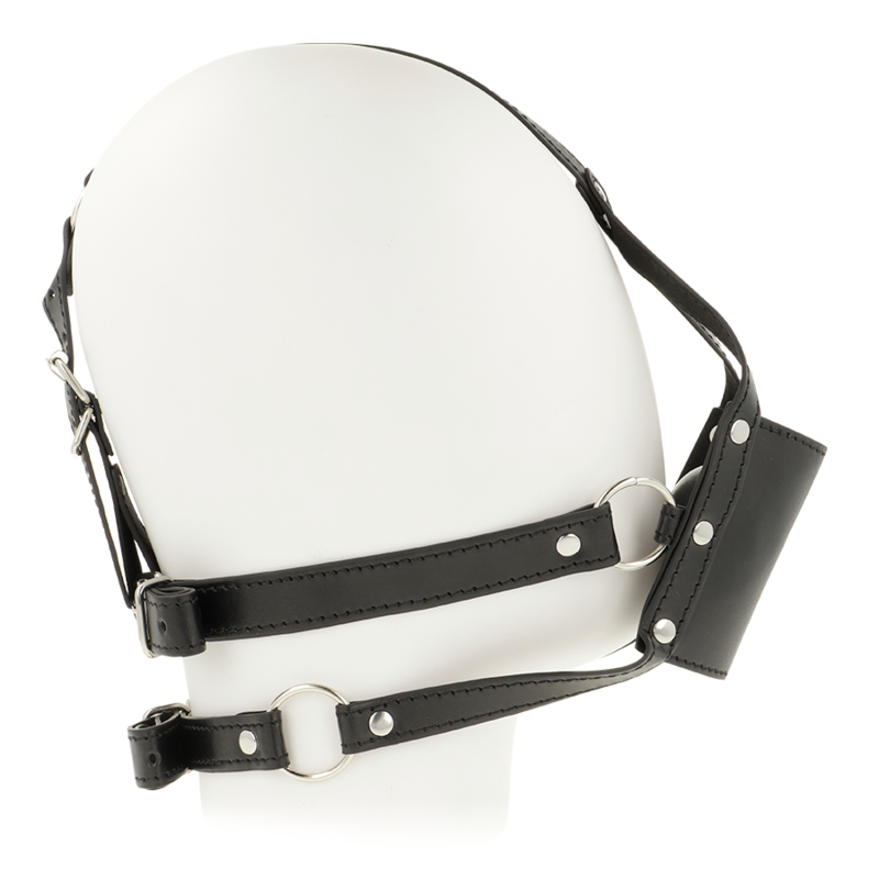 ARNÉS HARNESS RESTRAINT 3