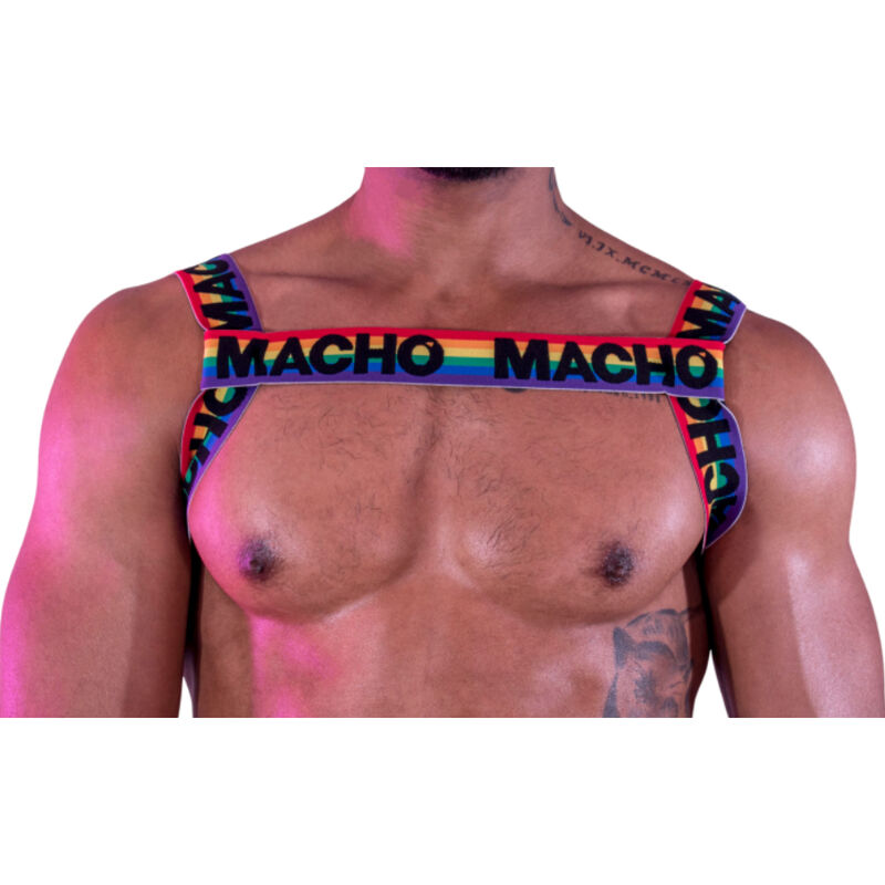 ELASTIC DUAL HARNESS 3