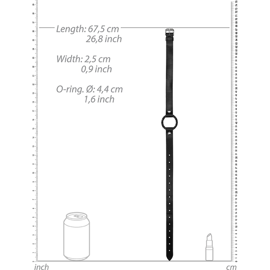 WRAPPED O-RING GAG 4