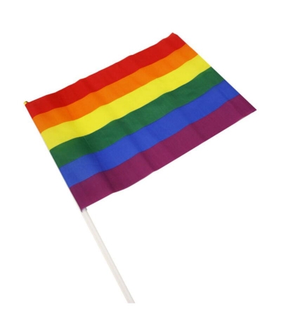 BANDERIN MEDIANO COLORES BANDE Stendardo lgbt con colori vibranti per festeggiamenti