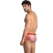 ANAIS MEN - FALCON BRIEF L nº1