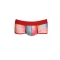 ANAIS MEN - FALCON BRIEF L nº2