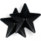 CHIC DESIRE - COPRI CAPEZZOLI BLACK STARS nº2