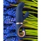 GENTLEY G-SPOT VIBE BLU CARAIBI nº1