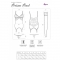 SET PERSINNE PESCA CORSETTO + SLIP + CALZE nº4