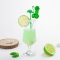 LECCA AL CAZZO CON MOJITO ALCOOL nº2