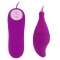 PLEASURE SHELL12 PURPLE SAVE NEW