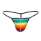 G-STRING PROVOCATIVE RAINBOW L nº2