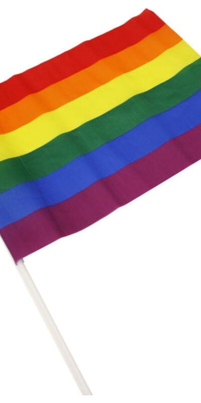 BANDERIN MEDIANO COLORES BANDE Stendardo lgbt con colori vibranti per festeggiamenti