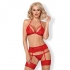 Set di lingerie obsessive: elegante, sensuale e seducente