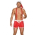 Intimo sexy di natale in diverse taglie.